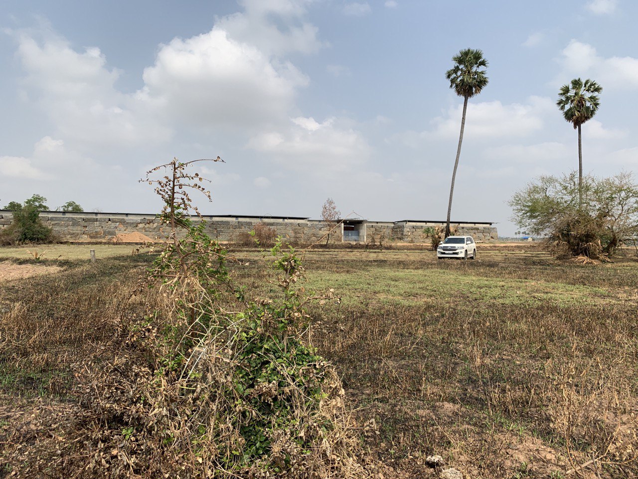 ដីទំនេរសម្រាប់លក់/ Vacant land for sale