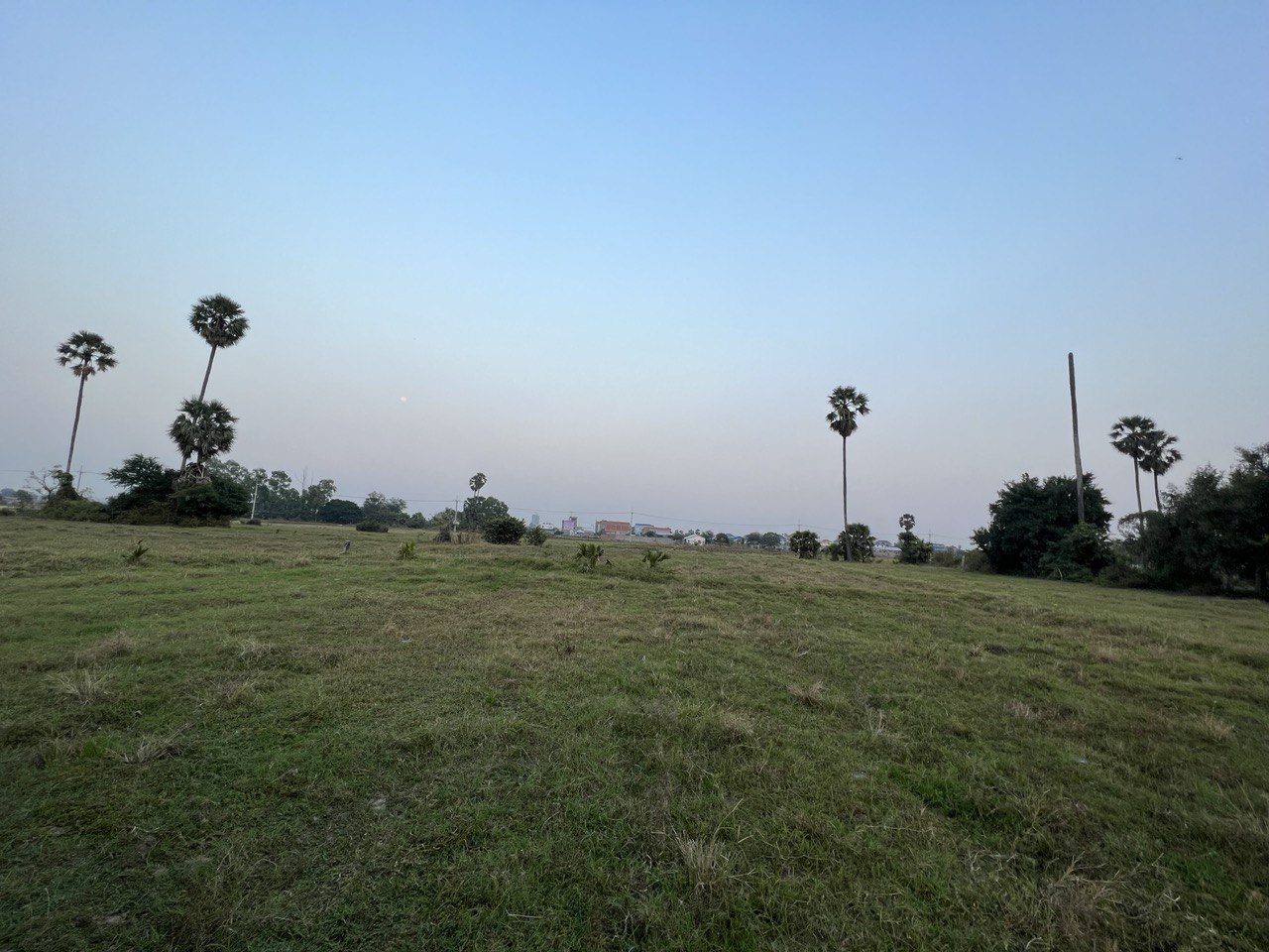 ដីទំនេរសម្រាប់លក់/ Vacant land for sale