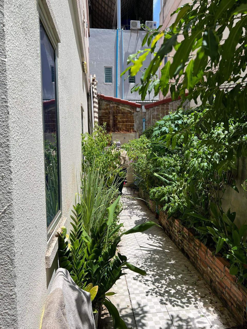 Semi-detached house