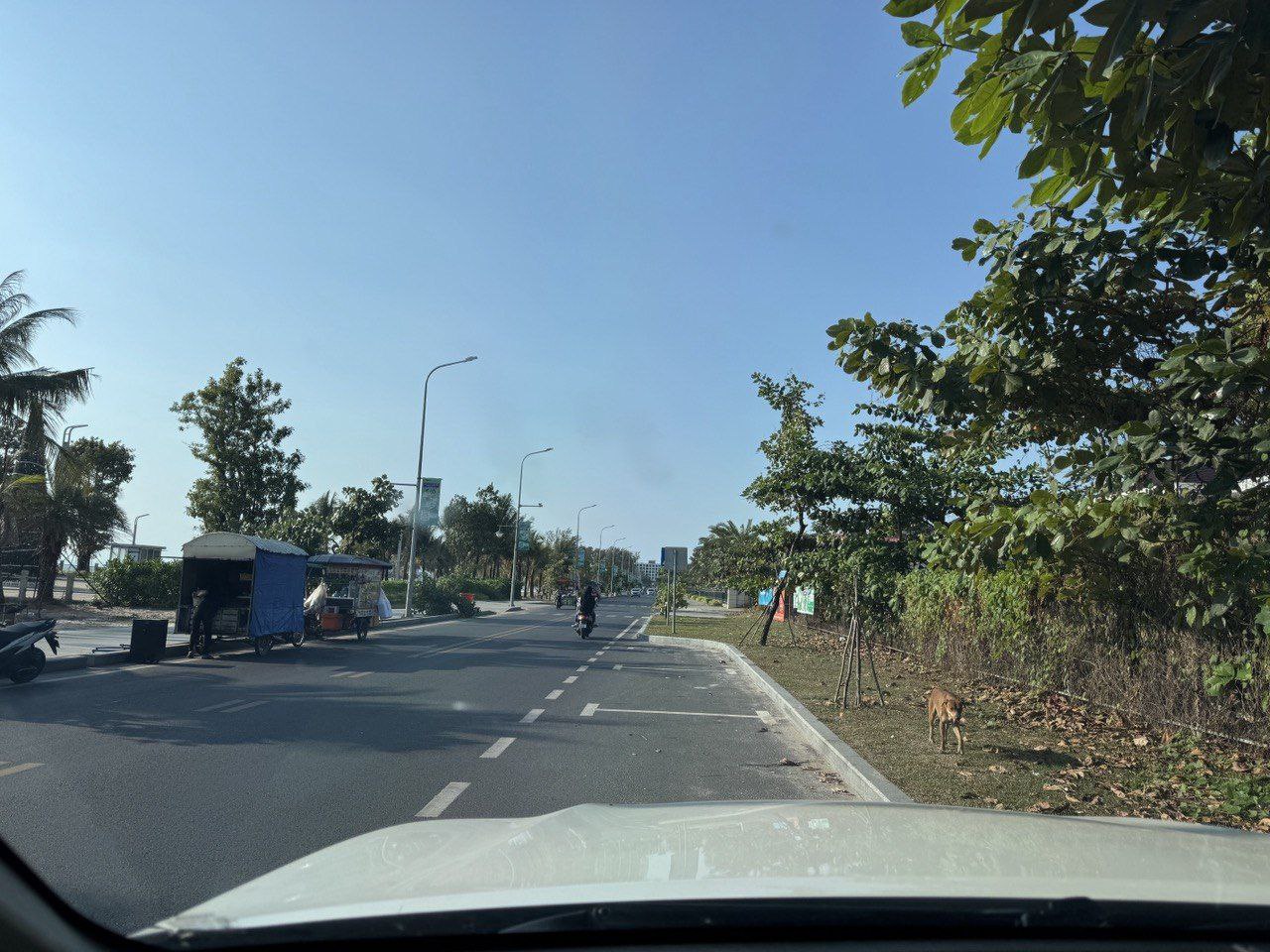 ដីសម្រាប់លក់